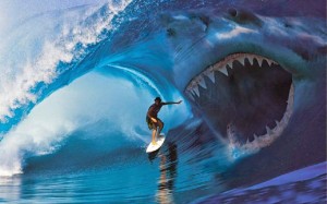 shark-attack-surfer-viehd_243576